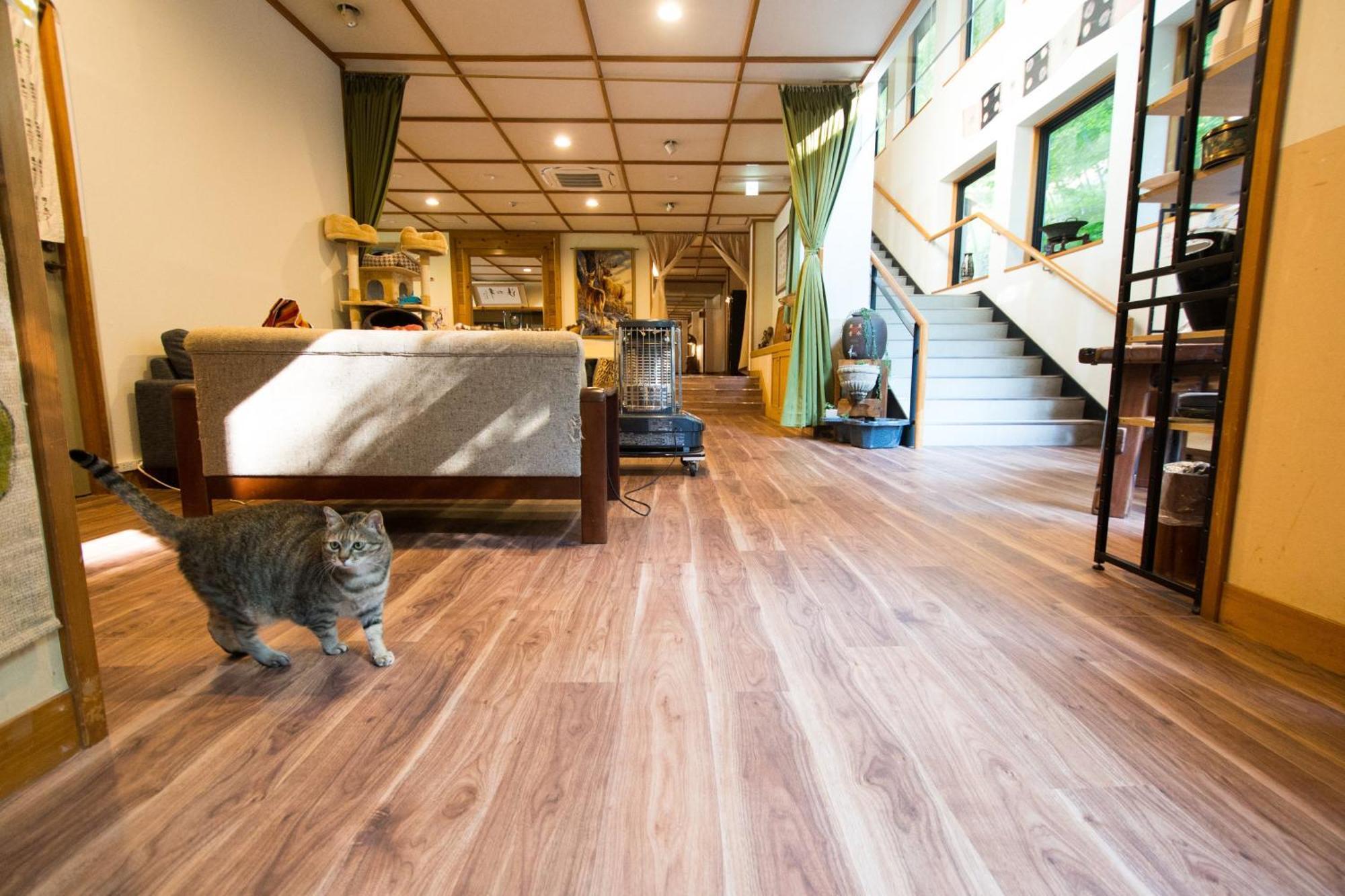 Akasawa Onsen Ryokan Nasushiobara Esterno foto
