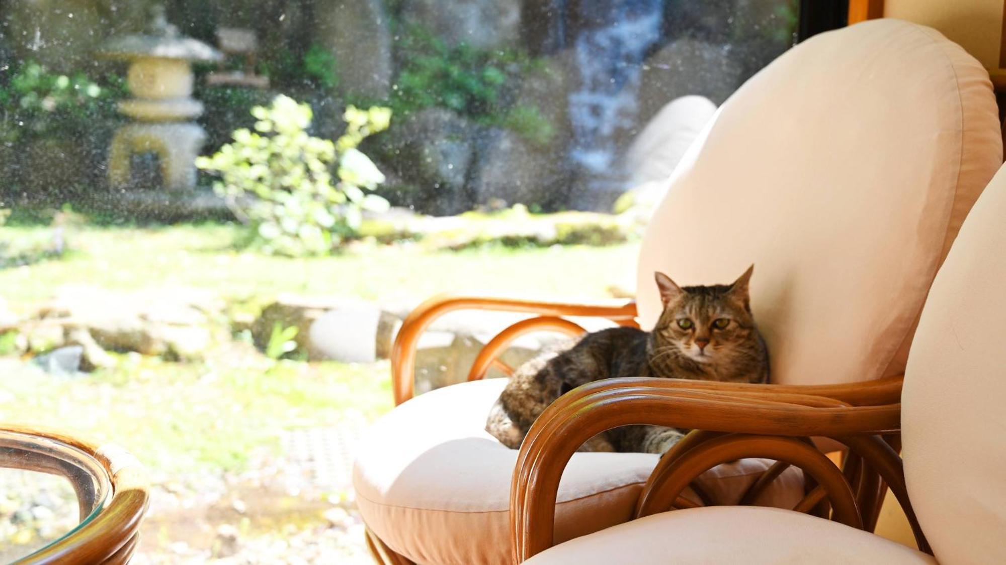 Akasawa Onsen Ryokan Nasushiobara Esterno foto